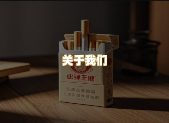关于我们
